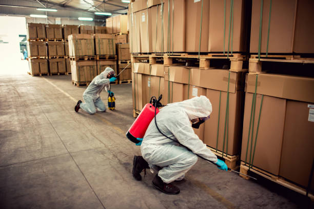 Best Termite Control Services  in Elwood, IN