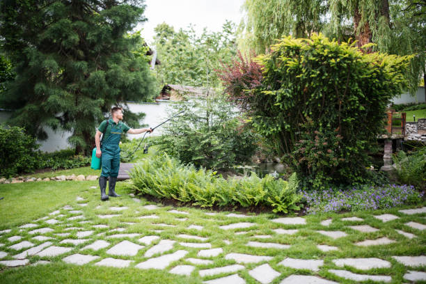 Best Affordable Pest Control Services  in Elwood, IN