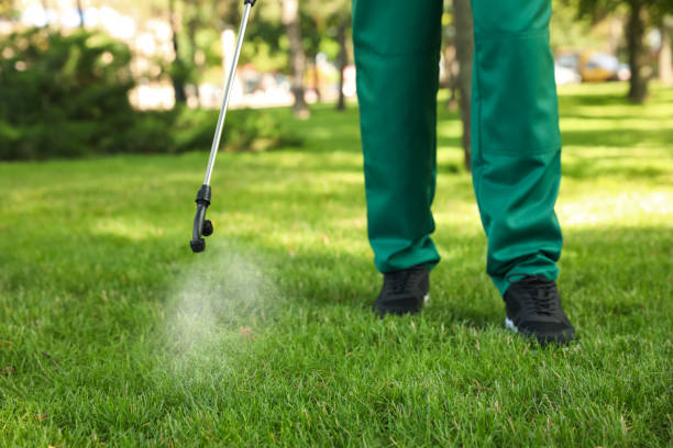 Reliable Elwood, IN Pest Control Solutions